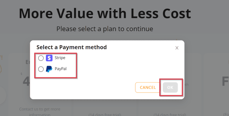 dsers payment options