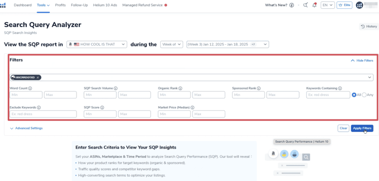 You can choose filters for your Search Query Analyzer report